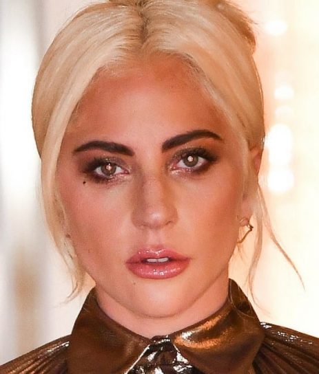 Lady Gaga - Wiki, Age, Birthday, Education, Career, Family Life - Wikiake